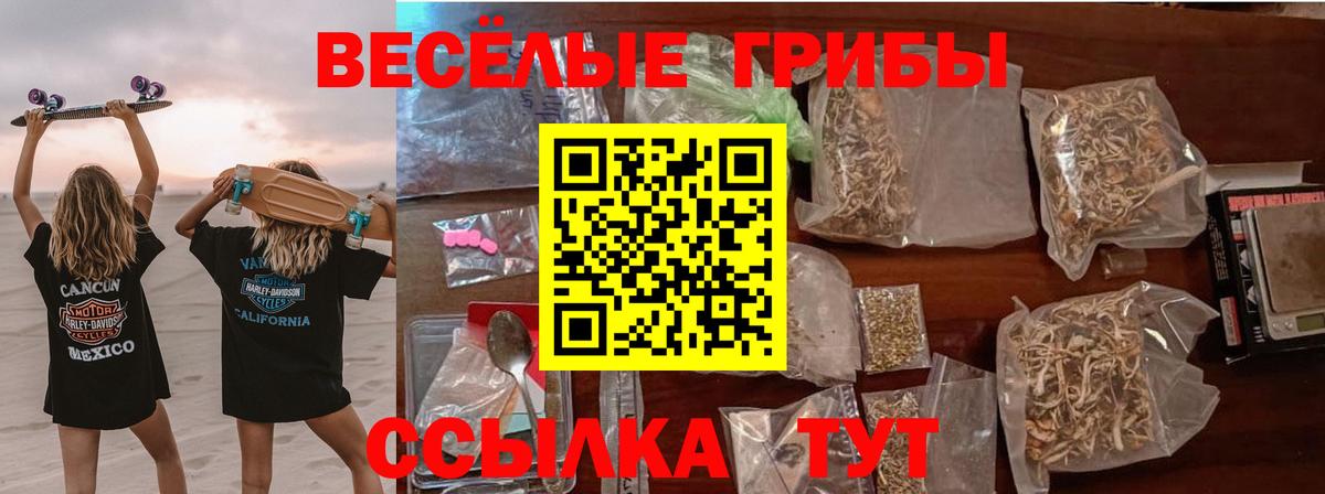 Псилоцибиновые грибы Psilocybe Лениногорск